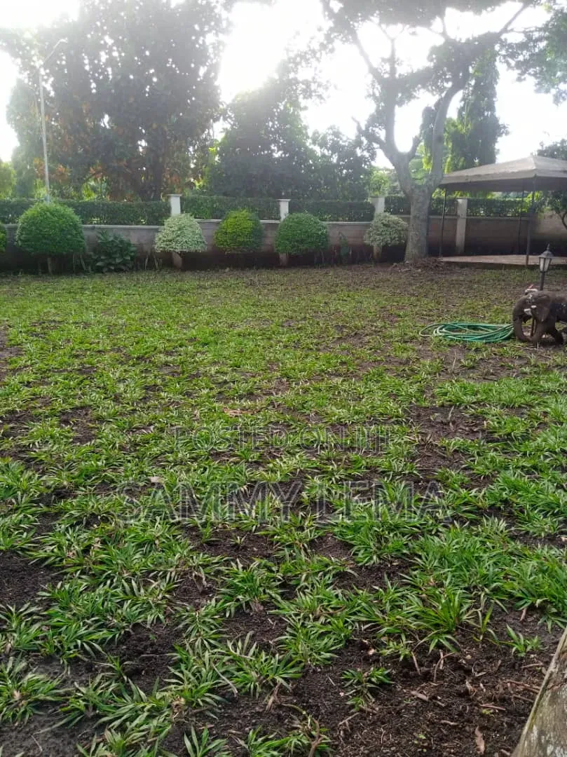 6bdrm Mansion in Sammy Saidy, Njiro for sale in Njiro