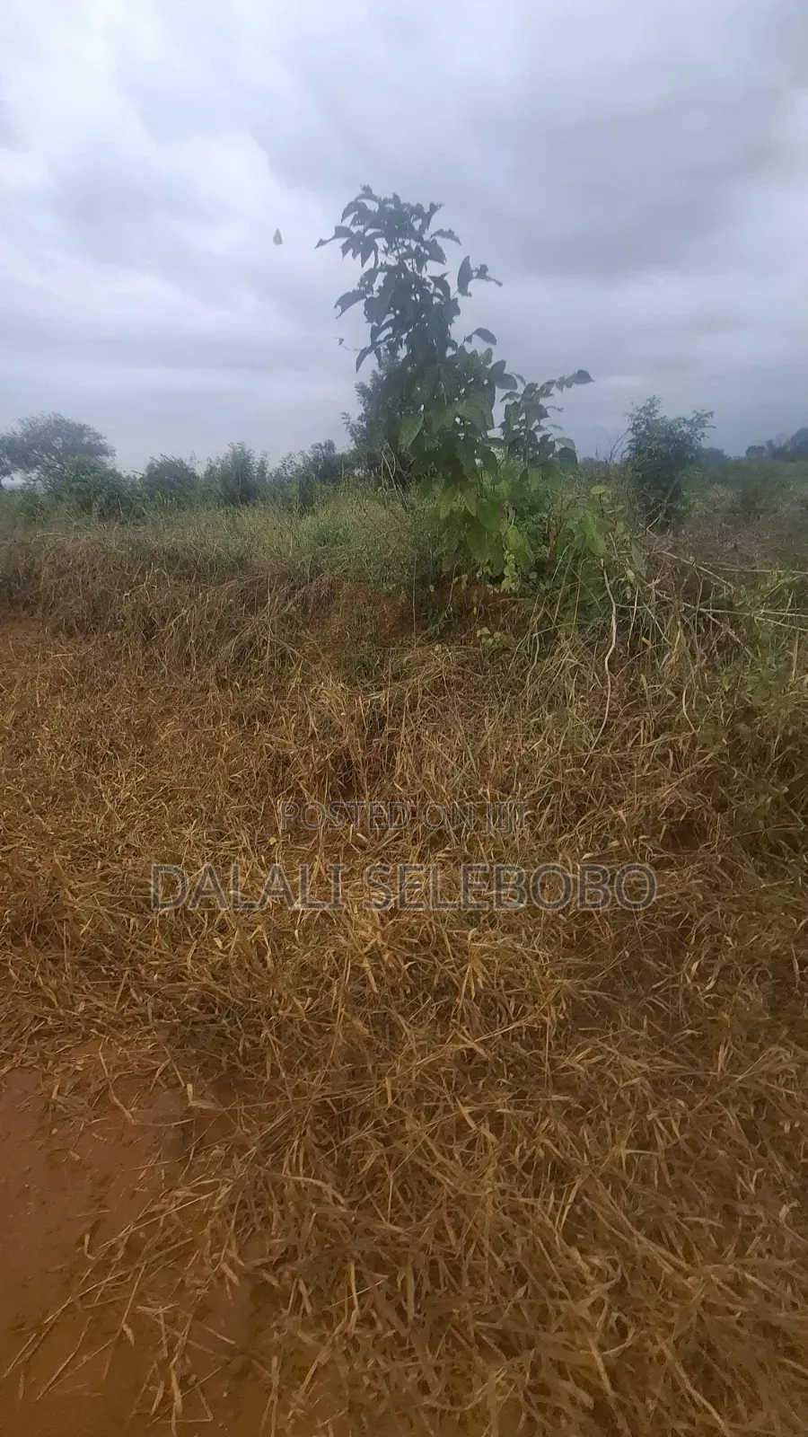 112 Hector at Morogoro Road It Look at Tarmac in Morogoro Rural