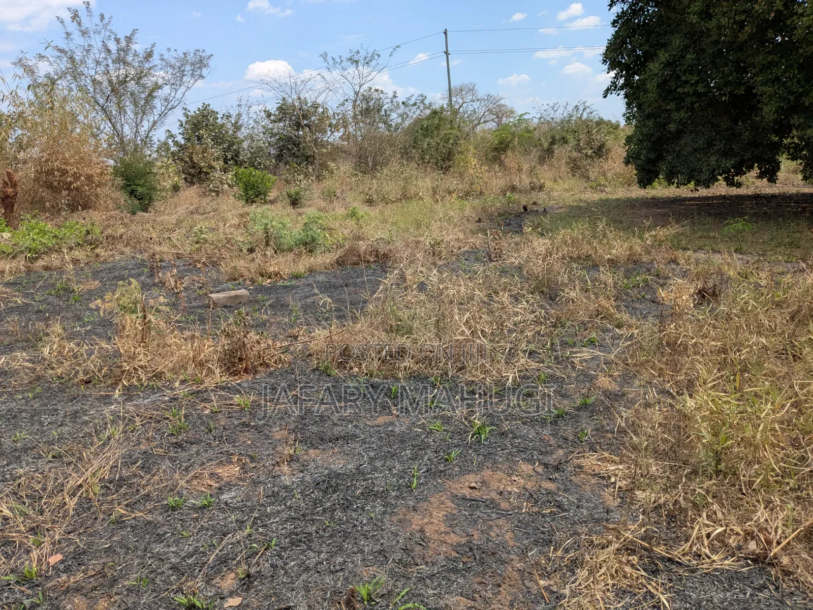Eneo Linauzwa Ruangwa in Ruangwa