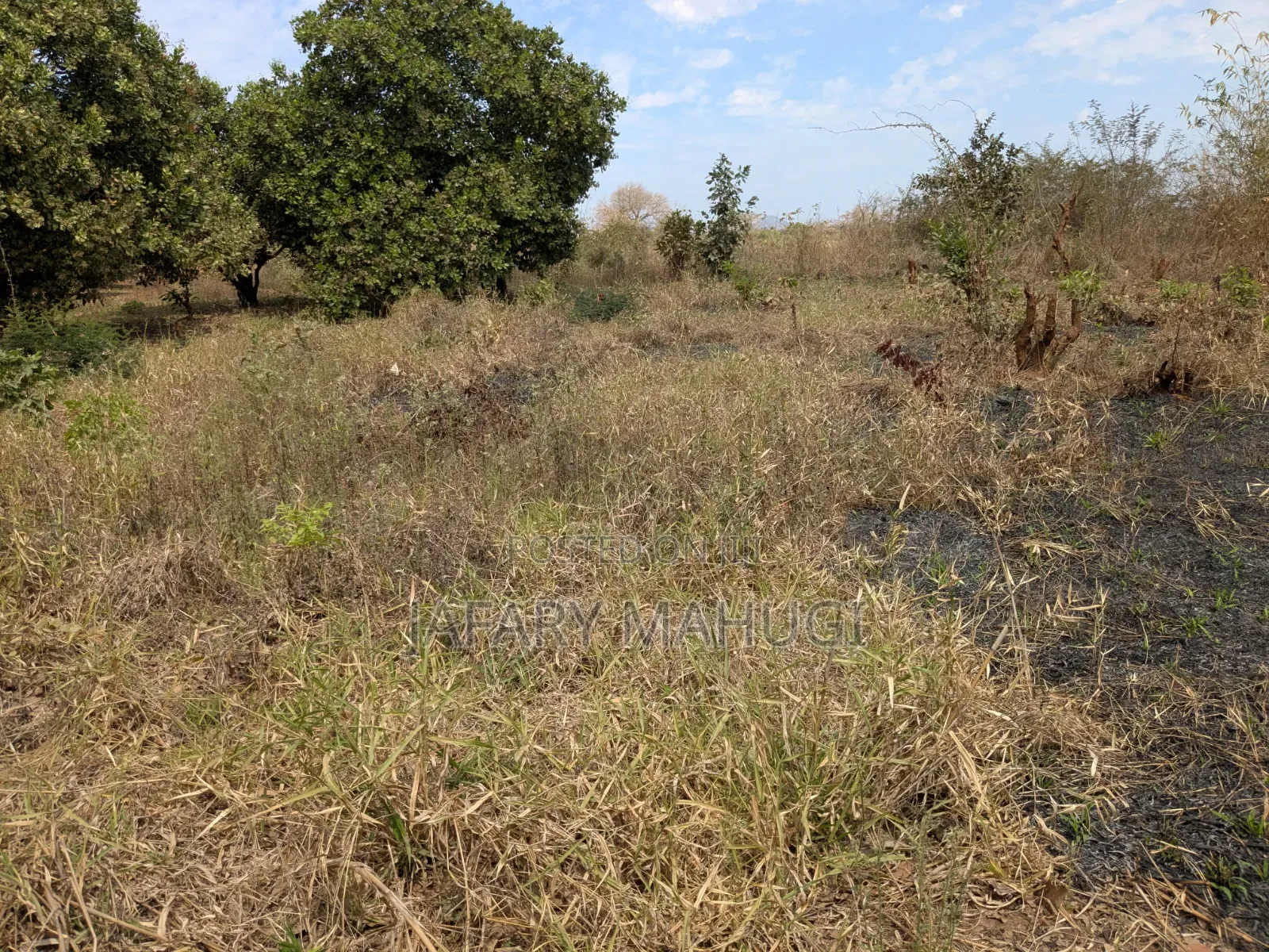 Eneo Linauzwa Ruangwa in Ruangwa