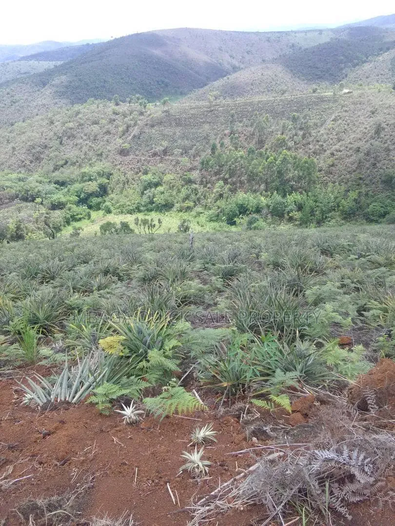 Farm for Sale at Njombe 2100 Acres in Yakobi