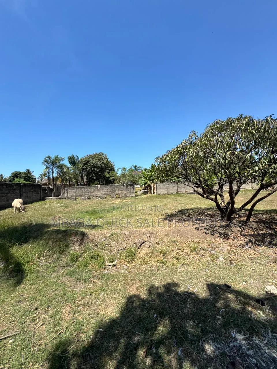 Plot With Old House for Sale at Mbezi Beach Juliana 3316 SQM in Mbezi Beach