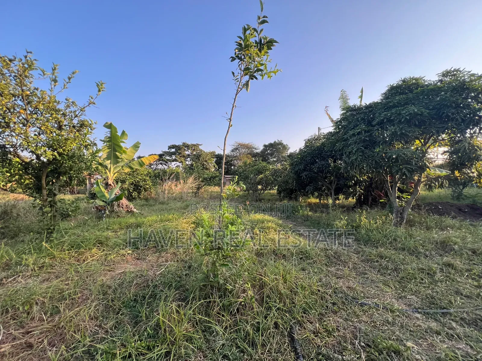7 Acres for Sale at Kisongo Arusha in Central Business Area
