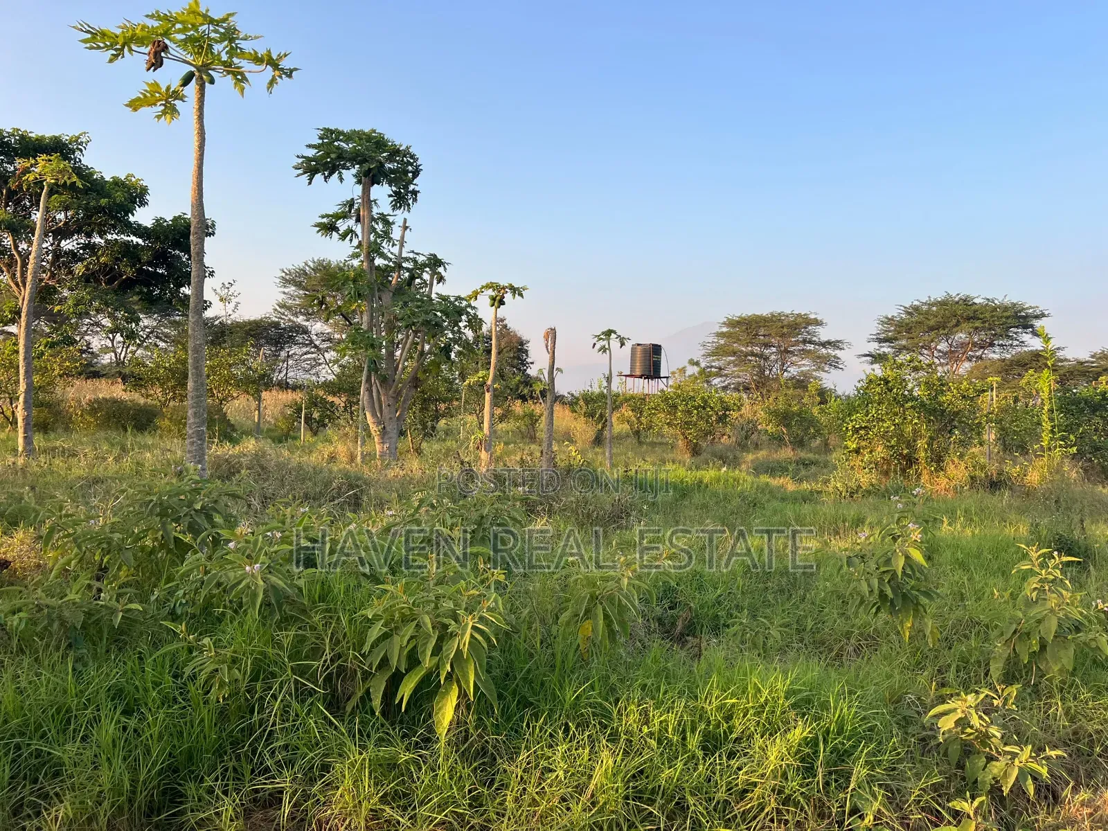 7 Acres for Sale at Kisongo Arusha in Central Business Area