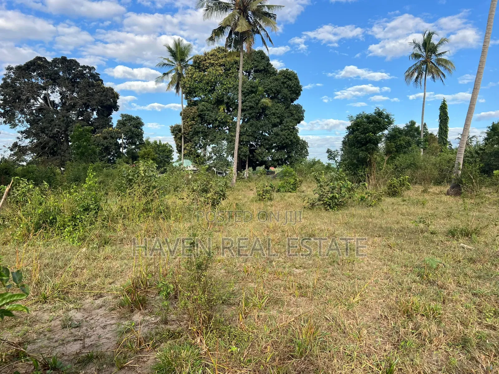 Commercial Plot for Sale in Zinga Bagamoyo in Zinga