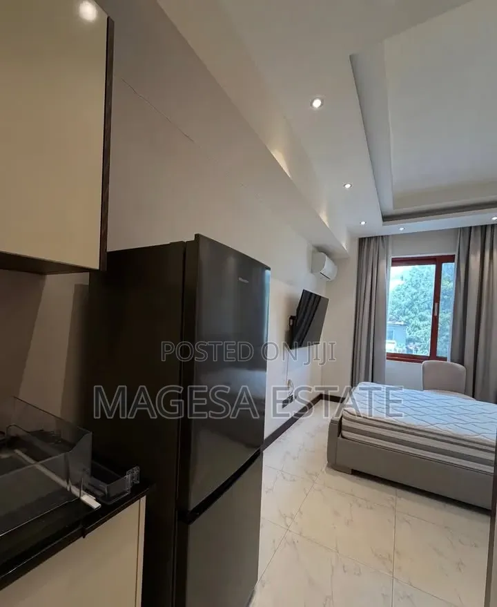 Furnished 1bdrm Apartment in Masaki for rent in Masaki