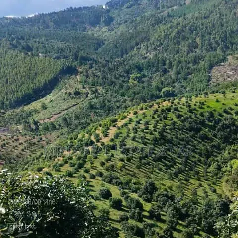 Farm for Sale Mlimba Morogoro in Mlimba