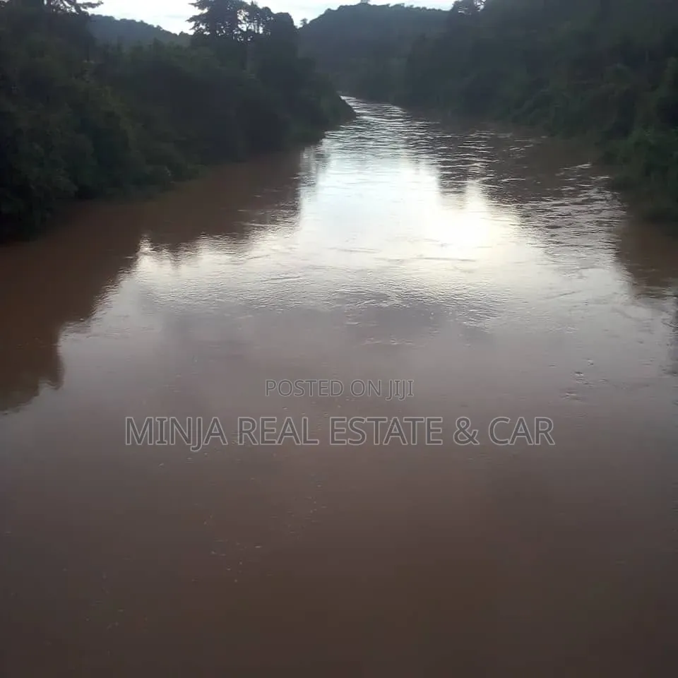 Farm for Sale Mlimba Morogoro in Mlimba