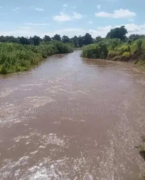 Farm for Sale Mlimba Morogoro in Mlimba