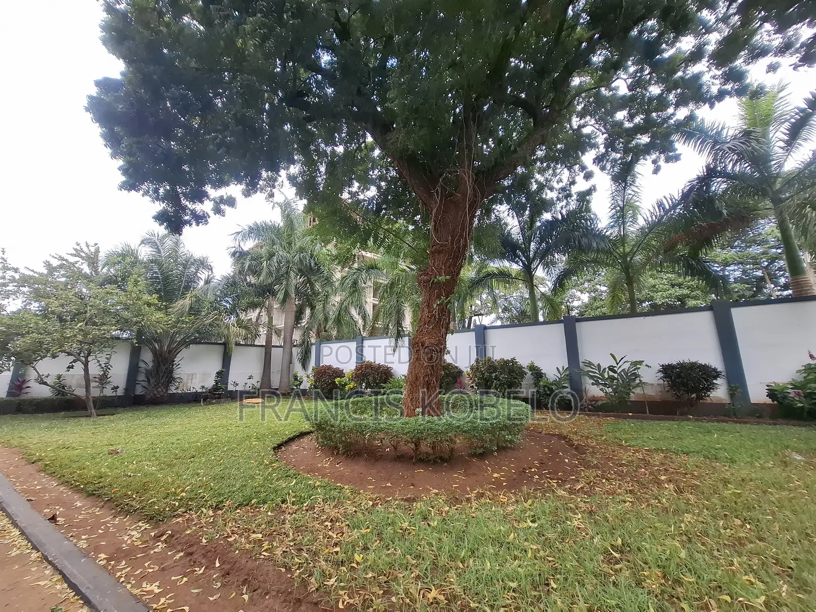 4bdrm House in Masaki for rent in Masaki