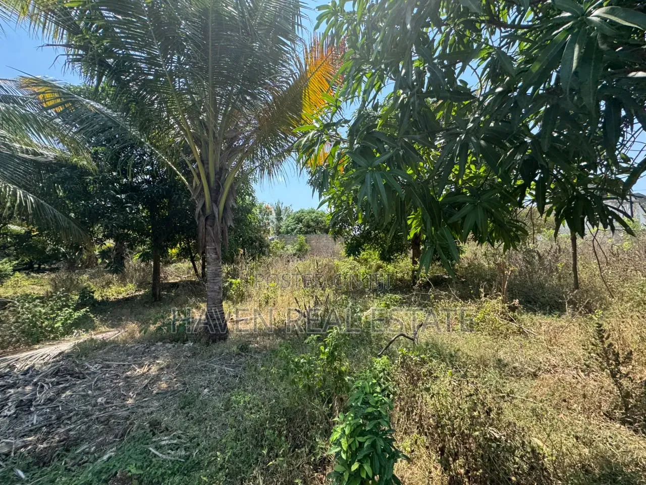 Prime Main Road Development Property for Sale at Buyu Zanzibar in Kati