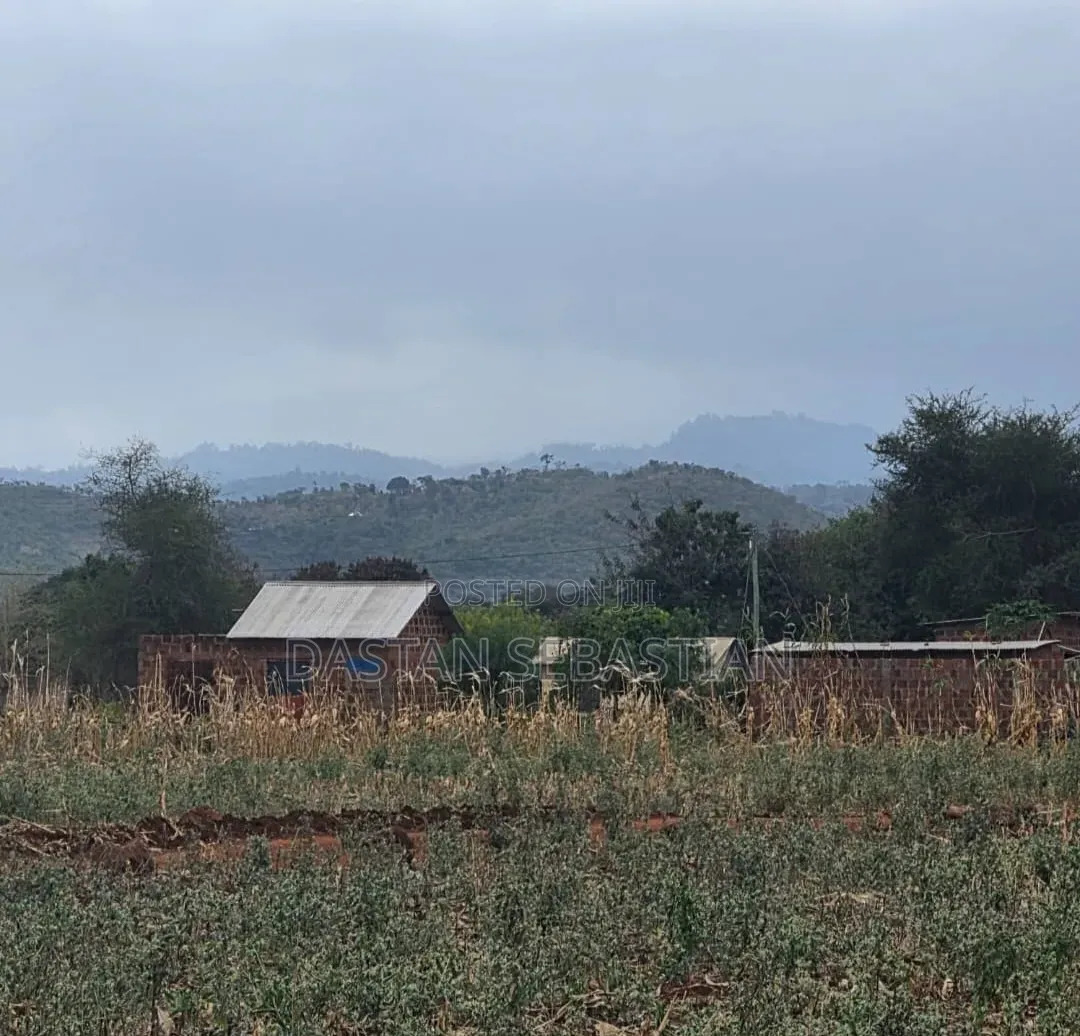 Moshi  Njiapanda Ya Himo in Central Business Area