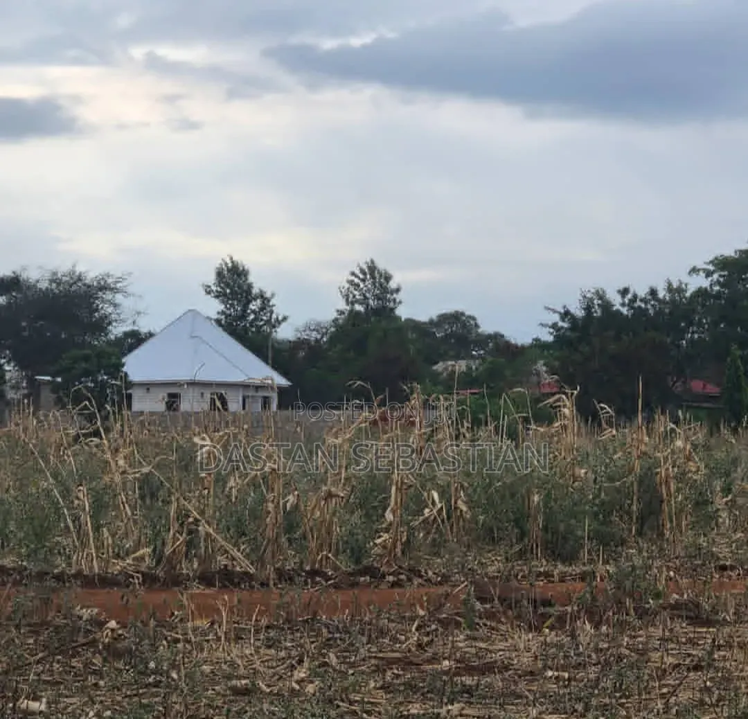Moshi  Njiapanda Ya Himo in Central Business Area