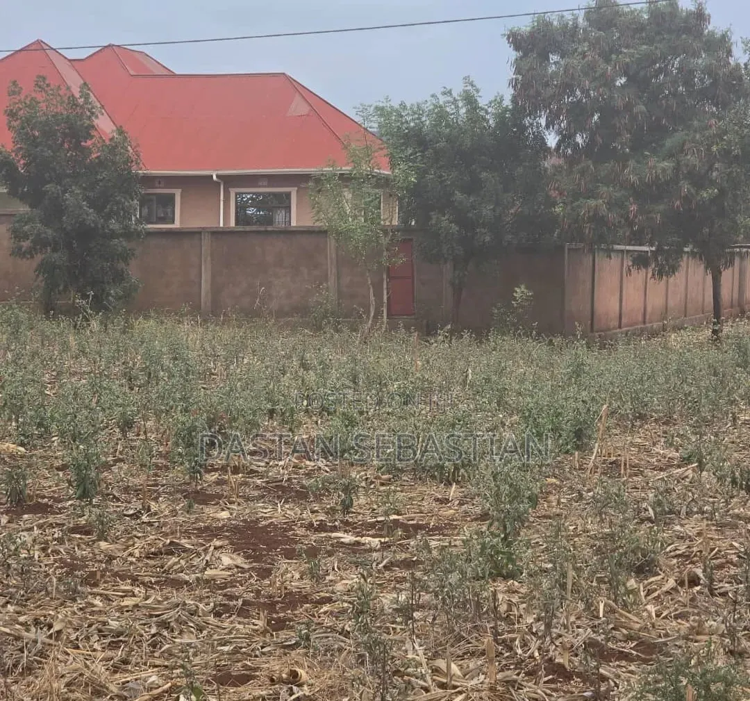 Moshi  Njiapanda Ya Himo in Central Business Area