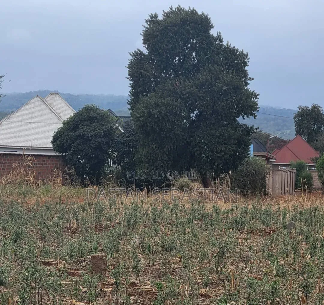 Moshi  Njiapanda Ya Himo in Central Business Area