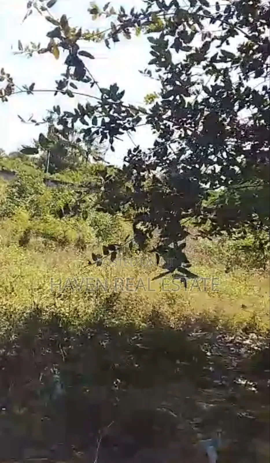 Second Line Beach Plot for Sale at Jambiani Zanzibar in Kaskazini A