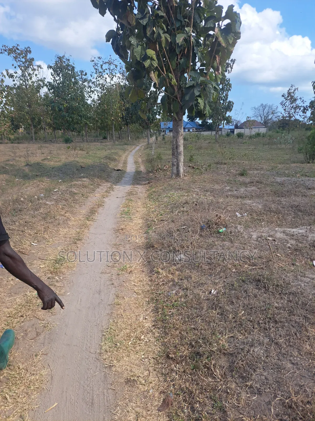Eneo Linauzwa Mapinga Amani Mwisho in Zinga