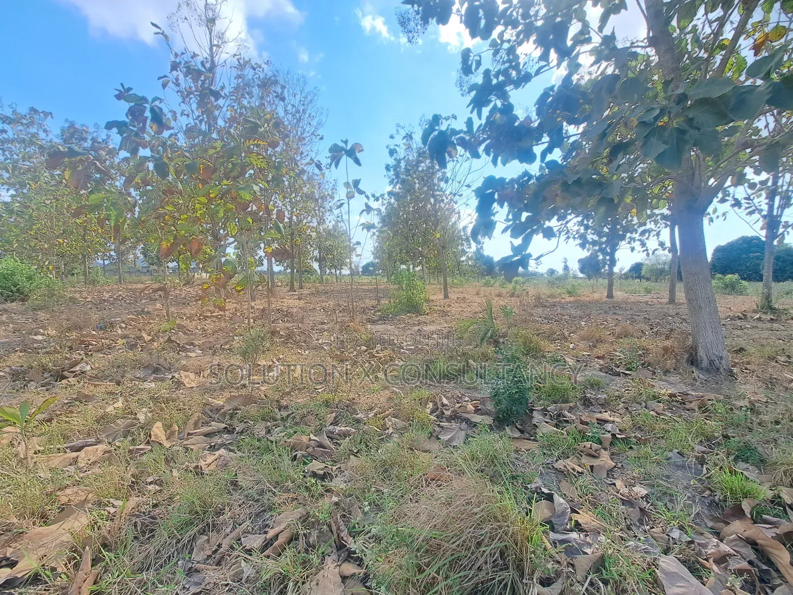 Eneo Linauzwa Mapinga Amani Mwisho in Zinga