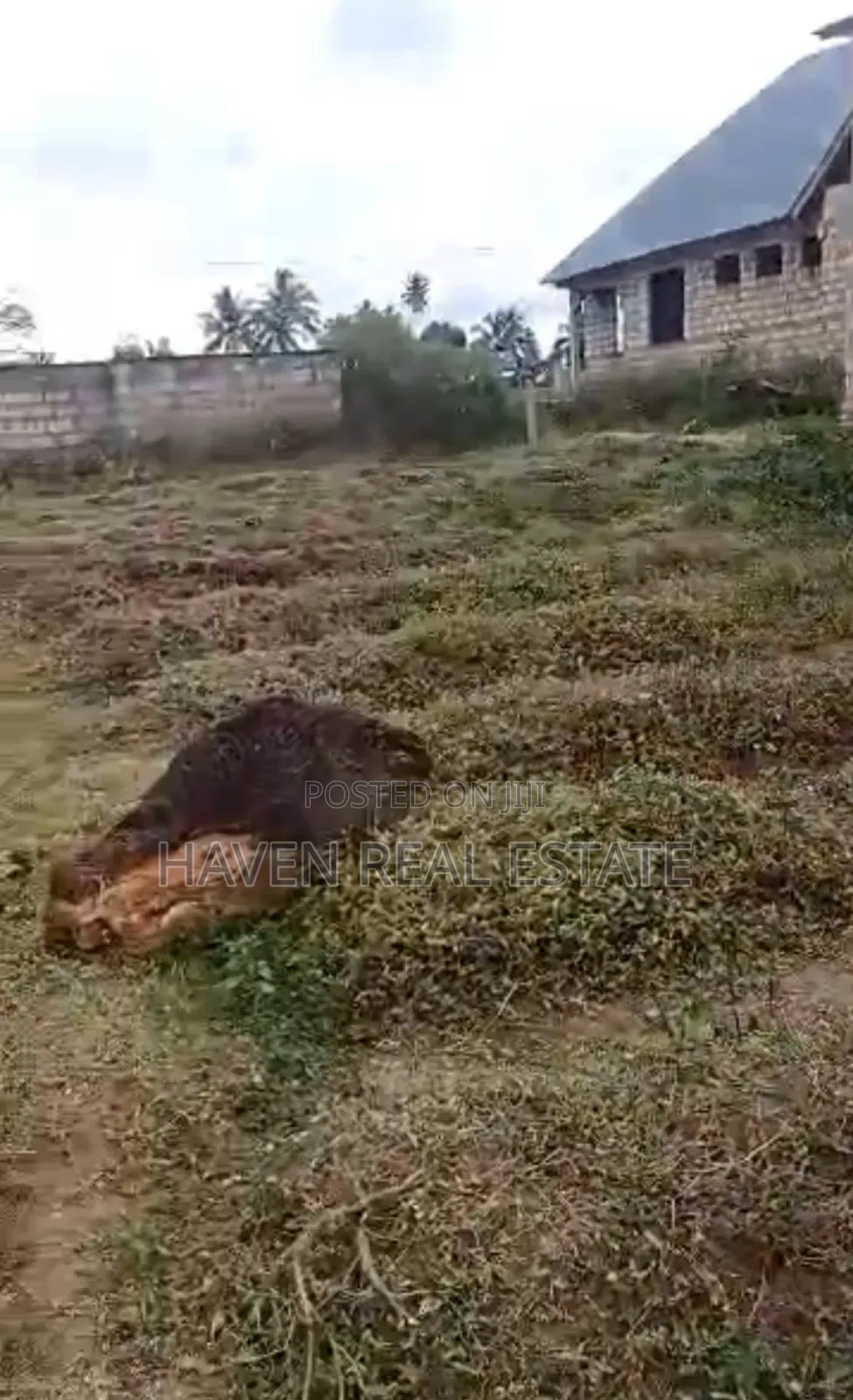 Plot for Sale at Mwera Zanzibar in Magharibi