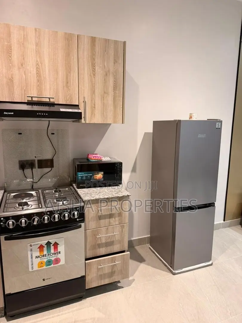Furnished 1bdrm Apartment in Mikocheni for rent in Mikocheni