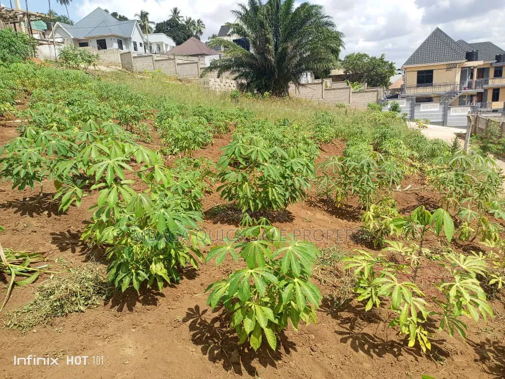 Plot for Sale at Bonyokwa in Goba