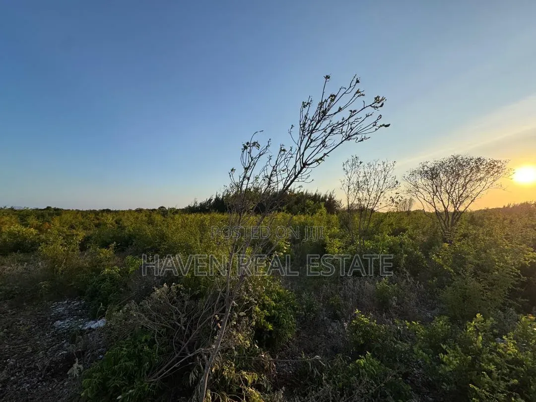 Plot for Sale at Makunduchi Zanzibar in Kati