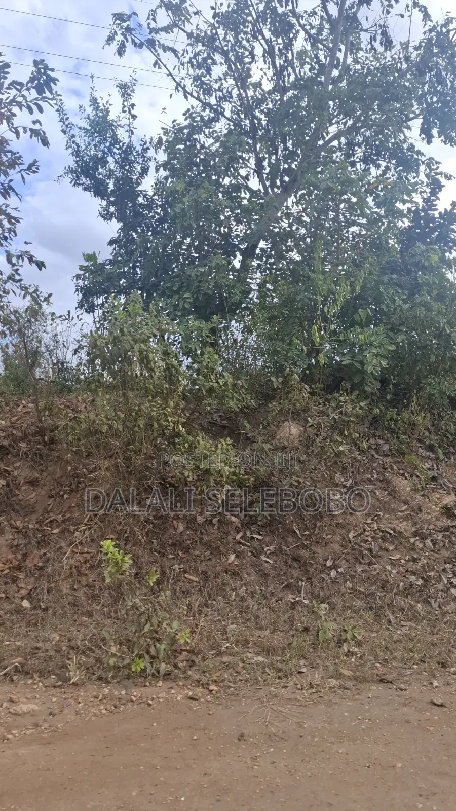 Plot 4 Gold Mining Hector 9 at Dodoma Bahi in Bahi