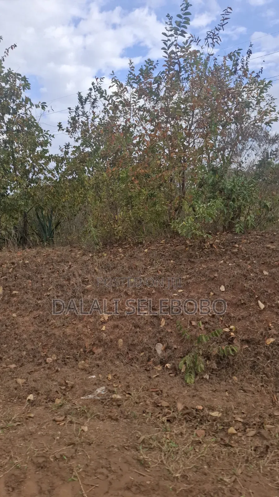Plot 4 Gold Mining Hector 9 at Dodoma Bahi in Bahi