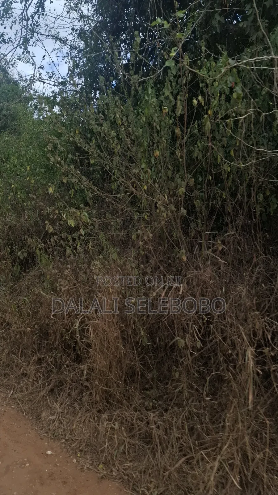 Plot 4 Gold Mining Hector 9 at Dodoma Bahi in Bahi