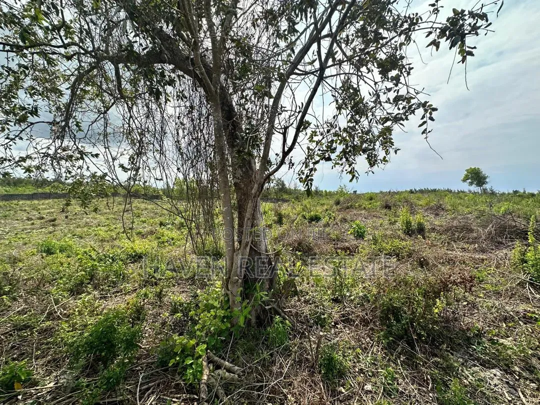 Beach Plot for Sale at Uroa Zanzibar in Kati