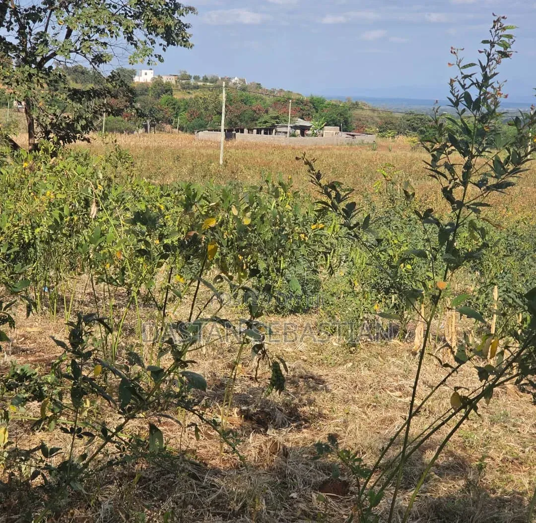 Kiseriani Kumenoga Tena in Central Business Area