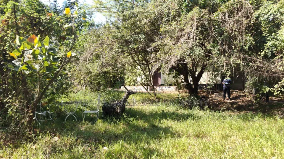 Plot for Sale at Mikocheni Near Plam Village in Mikocheni