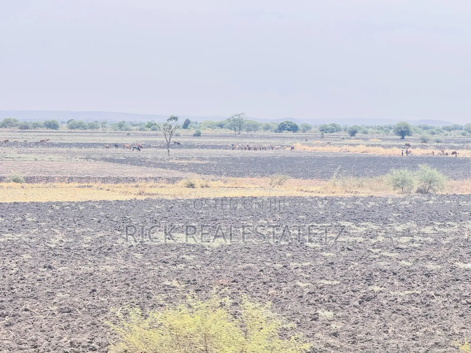 Shamba La Kilimo Linauzwa Magu in Magu Mjini