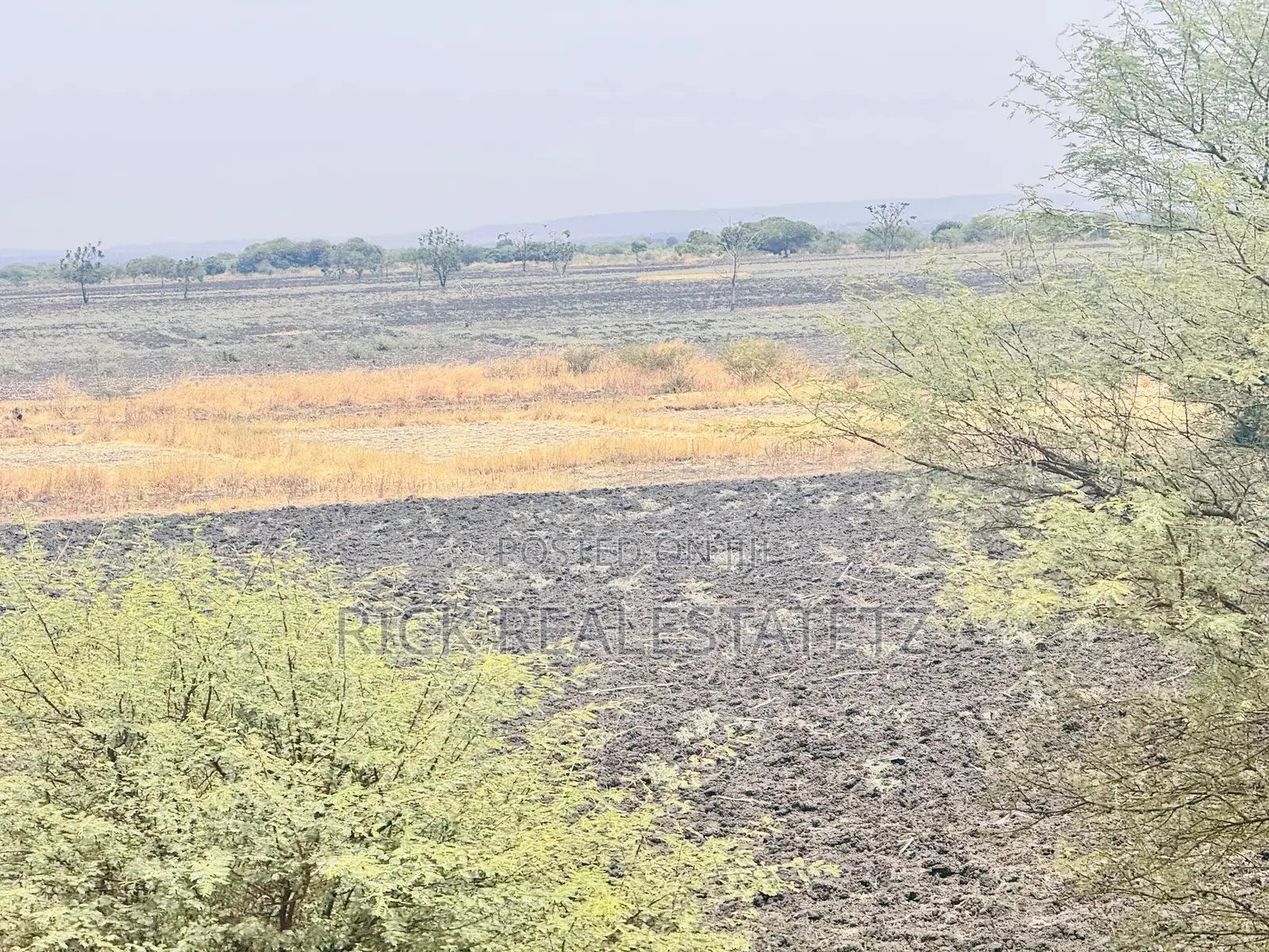 Shamba La Kilimo Linauzwa Magu in Magu Mjini