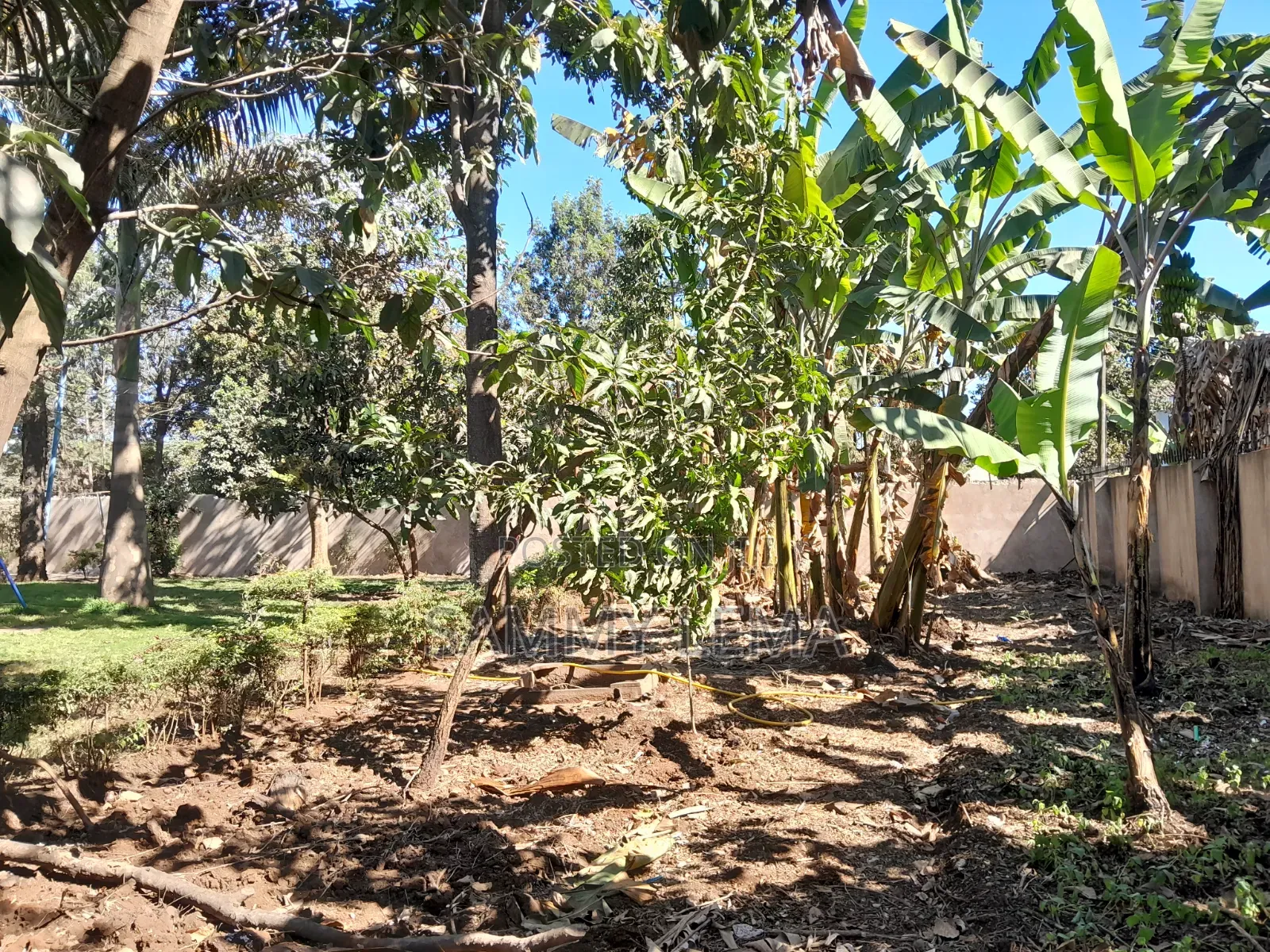6bdrm Bungalow in Sammysaidy, Njiro for rent in Njiro
